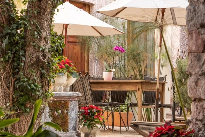 The courtyard with white parasols, a wooden table with an orchid and red poinsettias beside the ivy-covered trunk