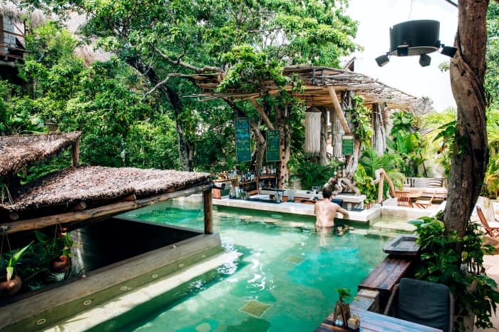 The long green-water pool with the palapa bar to one side, among the jungle trees