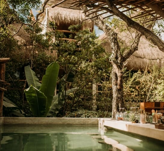 The terrace at Orchid House Tulum among palms and banana leaves, with wooden tables and shaded daybeds